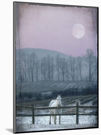 Prissy On Snowy Night-Dawne Polis-Mounted Art Print