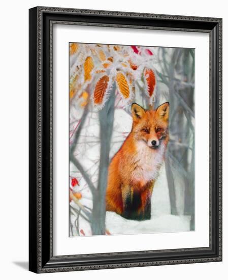 Pristine, 2019,-Helen White-Framed Giclee Print