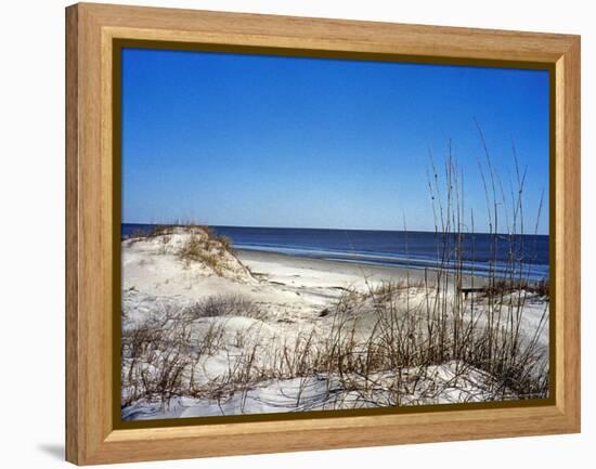 Pristine Dunes on Jekyll Island, Georgia-Giovanna Dell'orto-Framed Premier Image Canvas