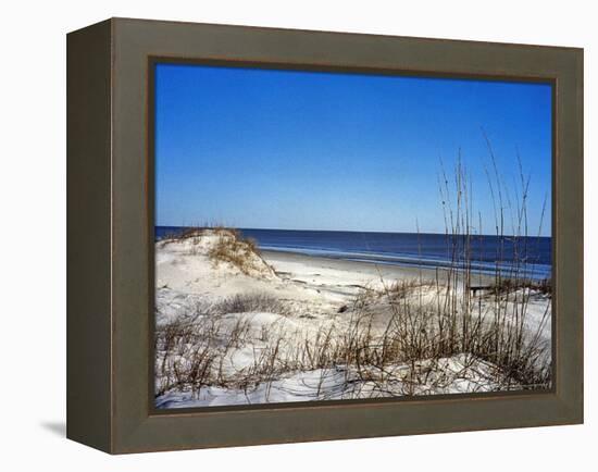 Pristine Dunes on Jekyll Island, Georgia-Giovanna Dell'orto-Framed Premier Image Canvas