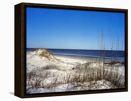 Pristine Dunes on Jekyll Island, Georgia-Giovanna Dell'orto-Framed Premier Image Canvas