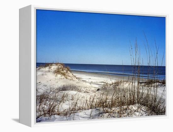 Pristine Dunes on Jekyll Island, Georgia-Giovanna Dell'orto-Framed Premier Image Canvas