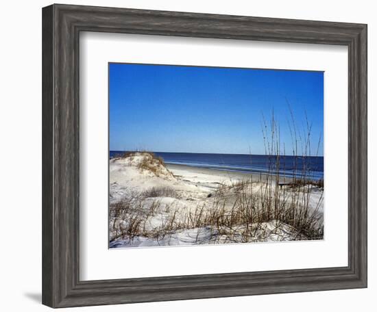 Pristine Dunes on Jekyll Island, Georgia-Giovanna Dell'orto-Framed Photographic Print