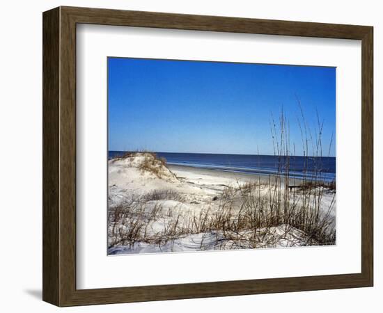 Pristine Dunes on Jekyll Island, Georgia-Giovanna Dell'orto-Framed Photographic Print