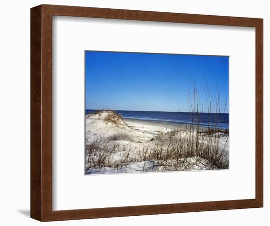 Pristine Dunes on Jekyll Island, Georgia-Giovanna Dell'orto-Framed Photographic Print