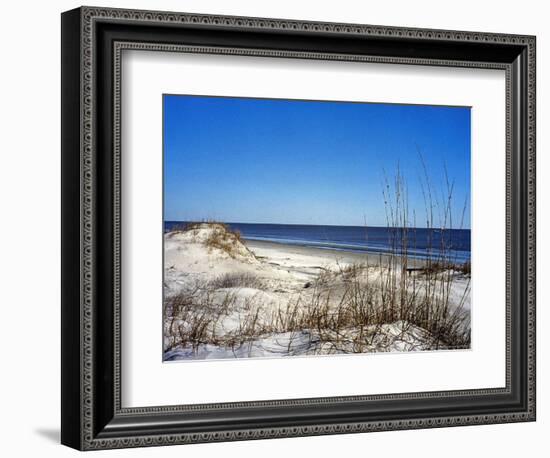 Pristine Dunes on Jekyll Island, Georgia-Giovanna Dell'orto-Framed Photographic Print