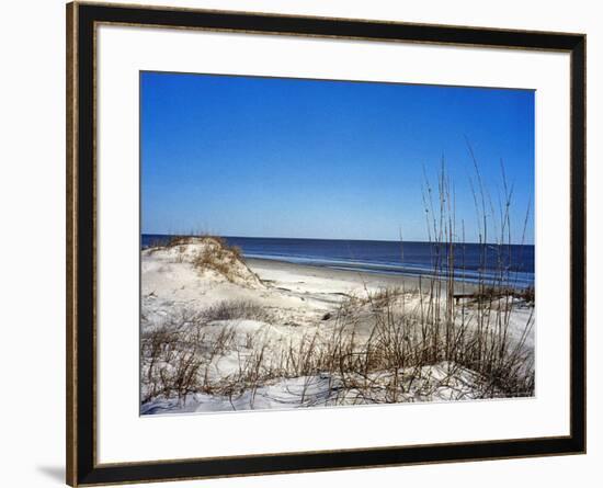 Pristine Dunes on Jekyll Island, Georgia-Giovanna Dell'orto-Framed Photographic Print