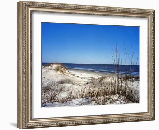 Pristine Dunes on Jekyll Island, Georgia-Giovanna Dell'orto-Framed Photographic Print