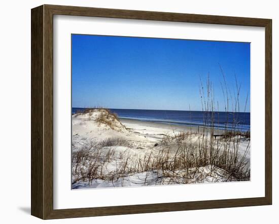 Pristine Dunes on Jekyll Island, Georgia-Giovanna Dell'orto-Framed Photographic Print