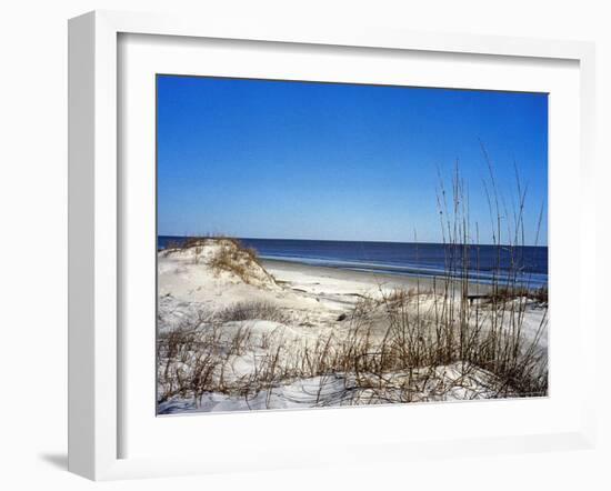 Pristine Dunes on Jekyll Island, Georgia-Giovanna Dell'orto-Framed Photographic Print