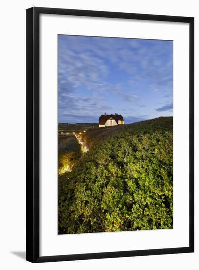 Private House, Wild Roses, Sylt (Island), Schleswig-Holstein, Germany-Rainer Mirau-Framed Photographic Print