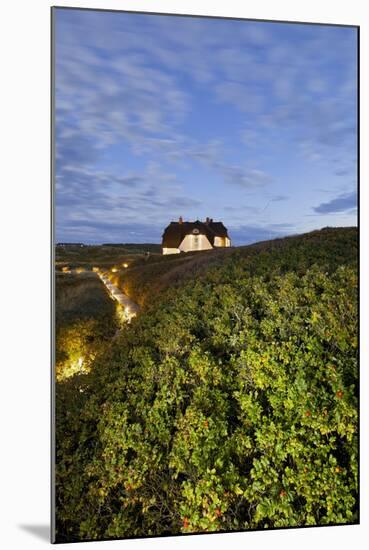 Private House, Wild Roses, Sylt (Island), Schleswig-Holstein, Germany-Rainer Mirau-Mounted Photographic Print