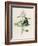 Privet-F. Edward Hulme-Framed Photographic Print