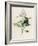 Privet-F. Edward Hulme-Framed Photographic Print