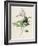 Privet-F. Edward Hulme-Framed Photographic Print