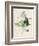 Privet-F. Edward Hulme-Framed Photographic Print