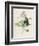 Privet-F. Edward Hulme-Framed Photographic Print