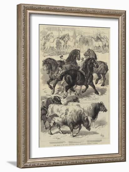 Prize Animals at the Royal Agricultural Society's International Exhibition at Kilburn-Samuel John Carter-Framed Giclee Print