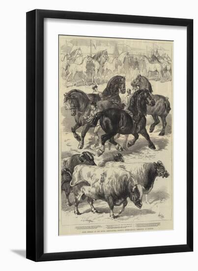 Prize Animals at the Royal Agricultural Society's International Exhibition at Kilburn-Samuel John Carter-Framed Giclee Print