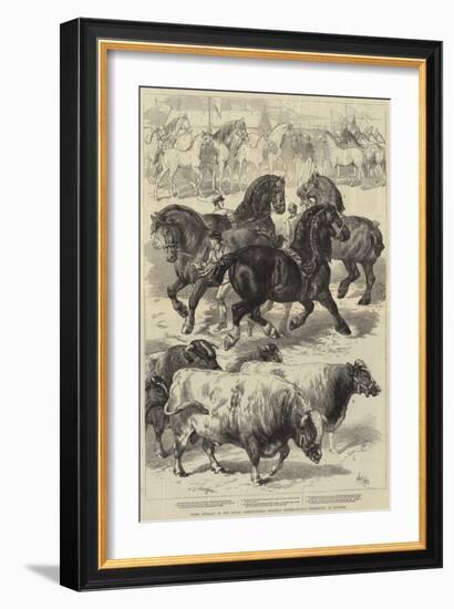 Prize Animals at the Royal Agricultural Society's International Exhibition at Kilburn-Samuel John Carter-Framed Giclee Print