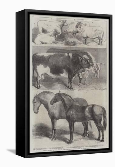 Prize Animals at the Royal Agricultural Society's Show at Leeds-Harrison William Weir-Framed Premier Image Canvas