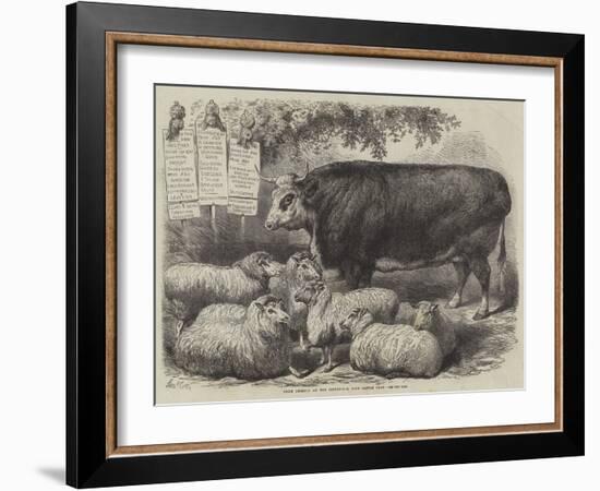 Prize Animals at the Smithfield Club Cattle Show-Samuel John Carter-Framed Giclee Print