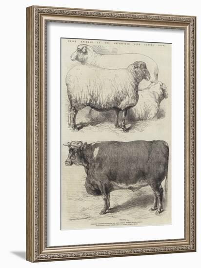 Prize Animals at the Smithfield Club Cattle Show-Harrison William Weir-Framed Giclee Print