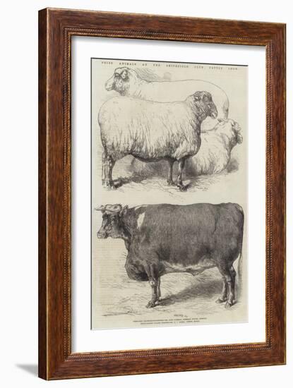 Prize Animals at the Smithfield Club Cattle Show-Harrison William Weir-Framed Giclee Print