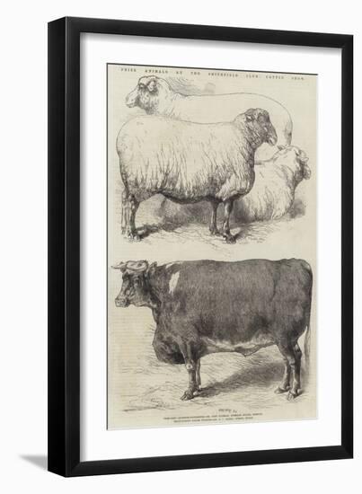 Prize Animals at the Smithfield Club Cattle Show-Harrison William Weir-Framed Giclee Print