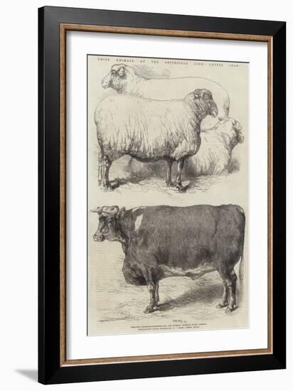 Prize Animals at the Smithfield Club Cattle Show-Harrison William Weir-Framed Giclee Print