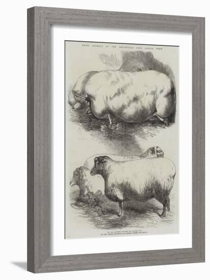 Prize Animals at the Smithfield Club Cattle Show-Harrison William Weir-Framed Giclee Print