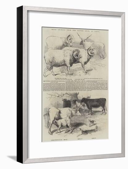 Prize Animals from the Cattle Show, at Paris-null-Framed Giclee Print