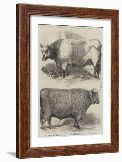 Prize Animals from the Smithfield Club Cattle Show-Harrison William Weir-Framed Giclee Print