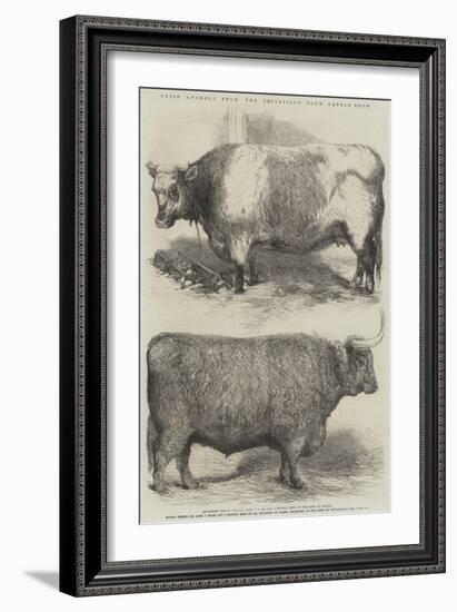 Prize Animals from the Smithfield Club Cattle Show-Harrison William Weir-Framed Giclee Print