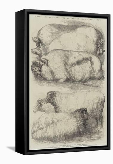 Prize Animals from the Smithfield Club Cattle Show-Harrison William Weir-Framed Premier Image Canvas