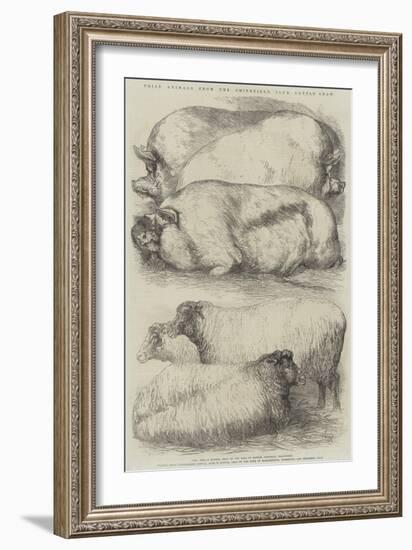 Prize Animals from the Smithfield Club Cattle Show-Harrison William Weir-Framed Giclee Print