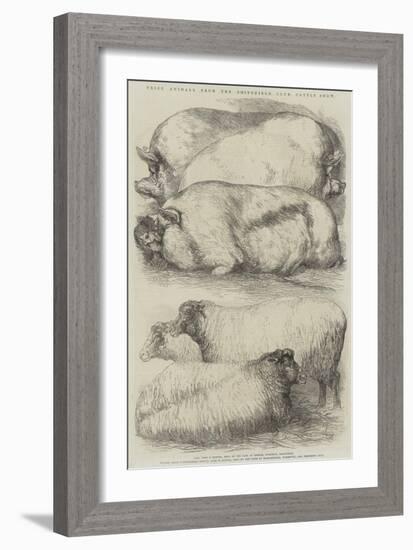 Prize Animals from the Smithfield Club Cattle Show-Harrison William Weir-Framed Giclee Print