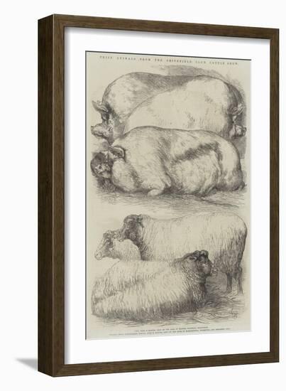 Prize Animals from the Smithfield Club Cattle Show-Harrison William Weir-Framed Giclee Print
