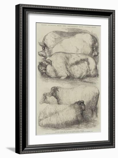 Prize Animals from the Smithfield Club Cattle Show-Harrison William Weir-Framed Giclee Print