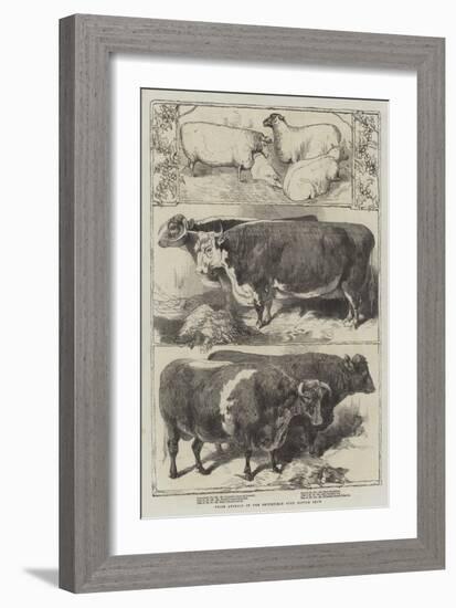 Prize Animals of the Smithfield Club Cattle Show-Harrison William Weir-Framed Giclee Print