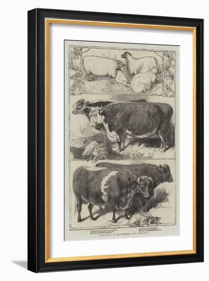 Prize Animals of the Smithfield Club Cattle Show-Harrison William Weir-Framed Giclee Print