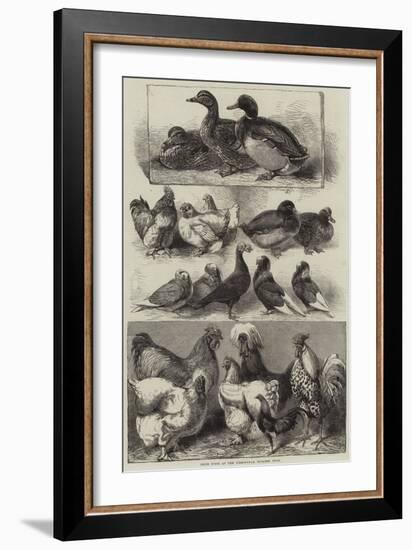 Prize Birds at the Birmingham Poultry Show-Harrison William Weir-Framed Giclee Print