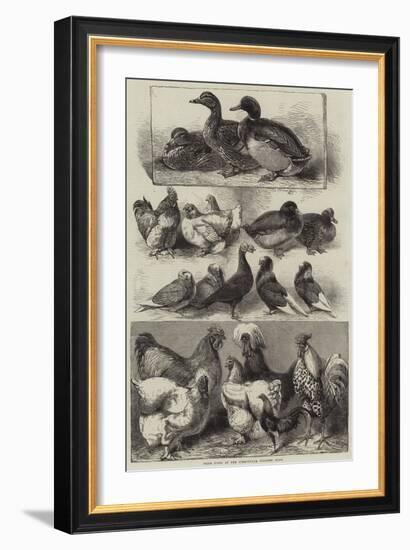 Prize Birds at the Birmingham Poultry Show-Harrison William Weir-Framed Giclee Print