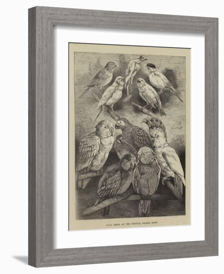 Prize Birds at the Crystal Palace Show-Harrison William Weir-Framed Giclee Print