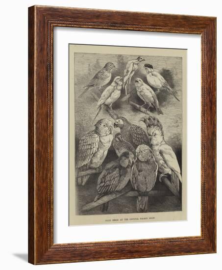 Prize Birds at the Crystal Palace Show-Harrison William Weir-Framed Giclee Print