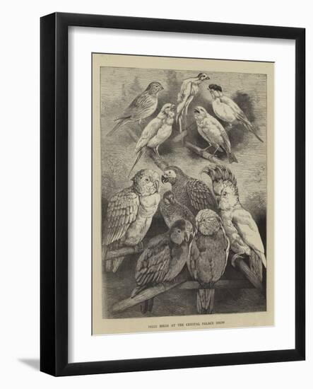 Prize Birds at the Crystal Palace Show-Harrison William Weir-Framed Giclee Print