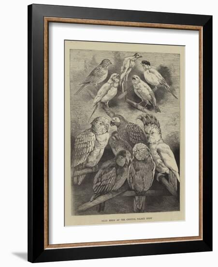 Prize Birds at the Crystal Palace Show-Harrison William Weir-Framed Giclee Print