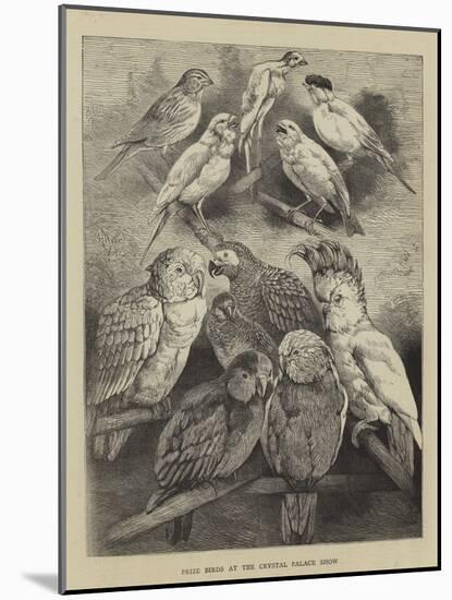 Prize Birds at the Crystal Palace Show-Harrison William Weir-Mounted Giclee Print