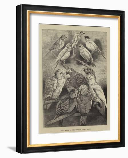 Prize Birds at the Crystal Palace Show-Harrison William Weir-Framed Giclee Print