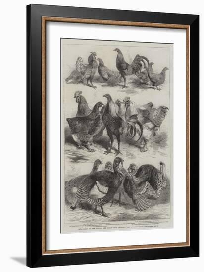 Prize Birds at the Poultry and Pigeon Show Recently Held at Birmingham-Harrison William Weir-Framed Giclee Print